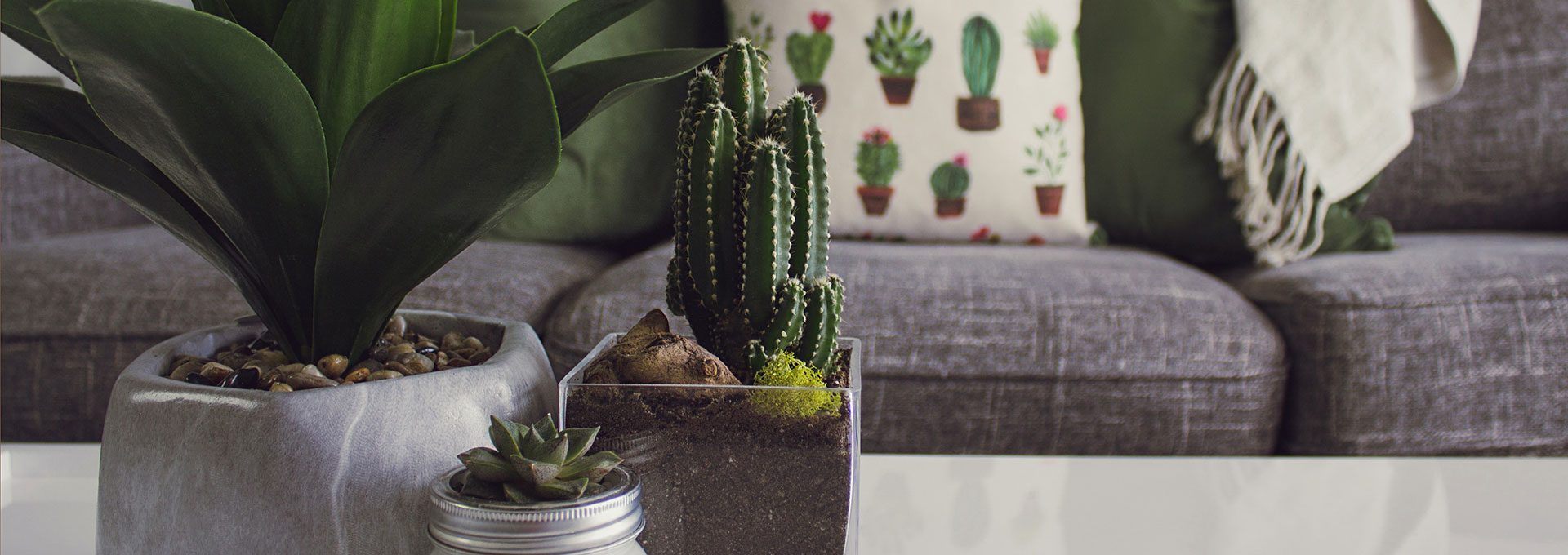 Designecologist CsVPdj60E1A Unsplash