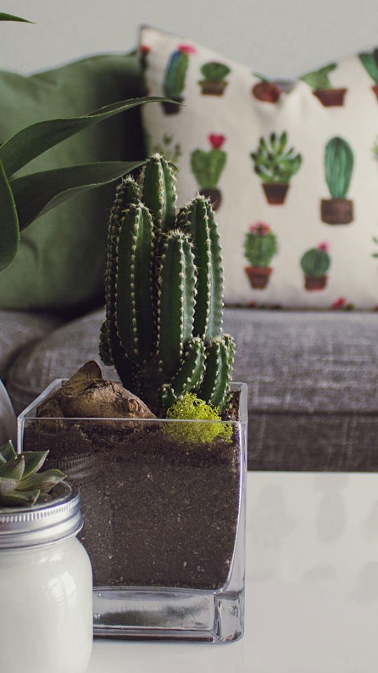 Designecologist CsVPdj60E1A Unsplash