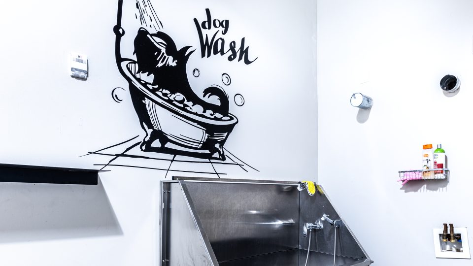 a kitchen with a sink and a microwave