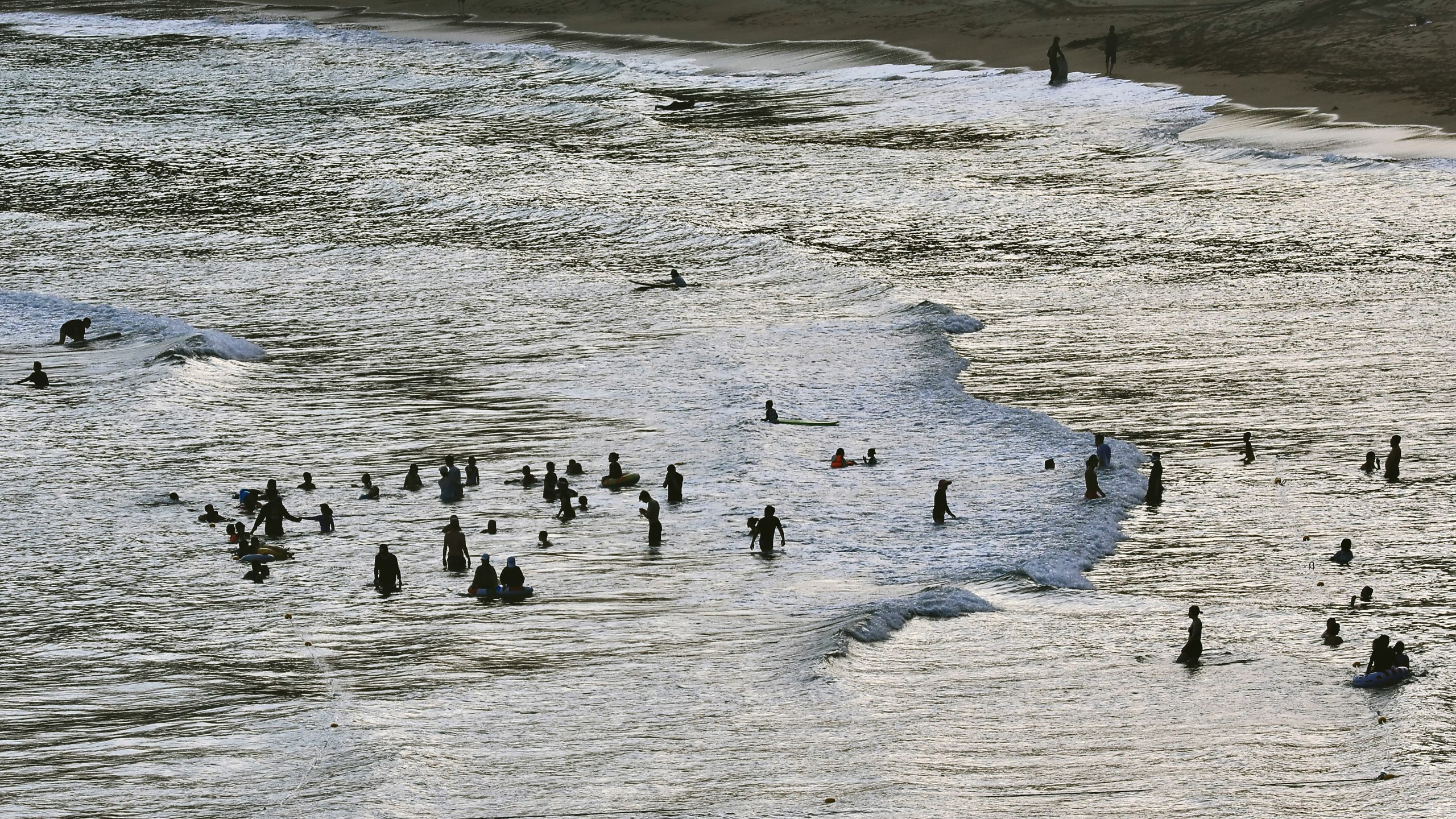 Silhouettes of people swimming and surfing in the ocean waves at a beach