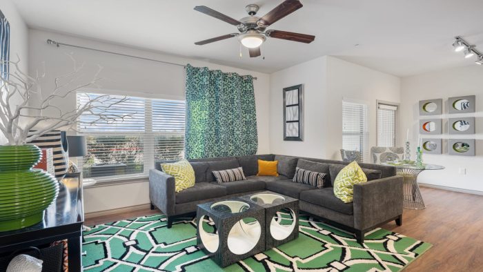 a living room with a green rug and a gray couch at The  BLVD