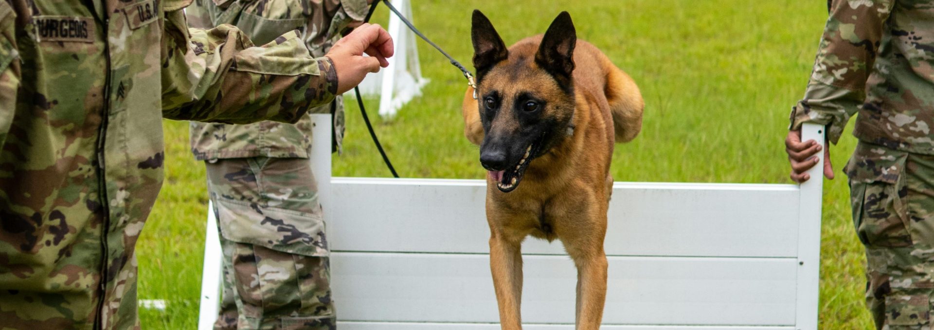 a soldier is holding a dog over a jump at The  BLVD