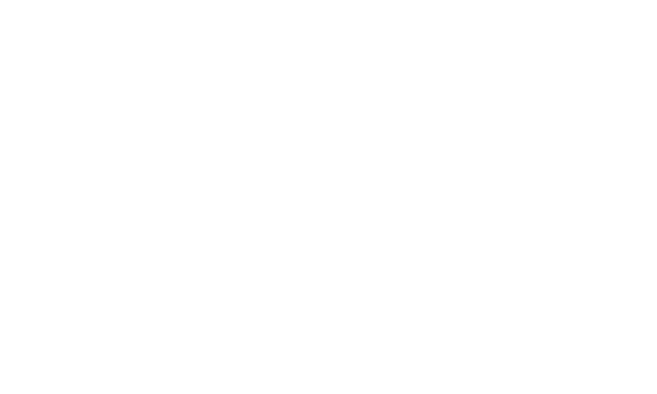 a white and black flag with a white and black flag at The 