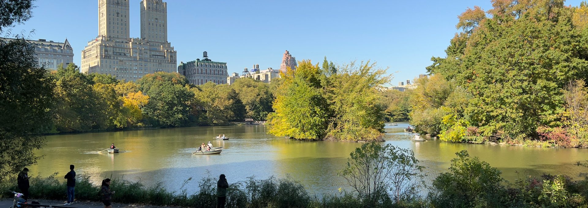 a body of water with trees and a city in the background