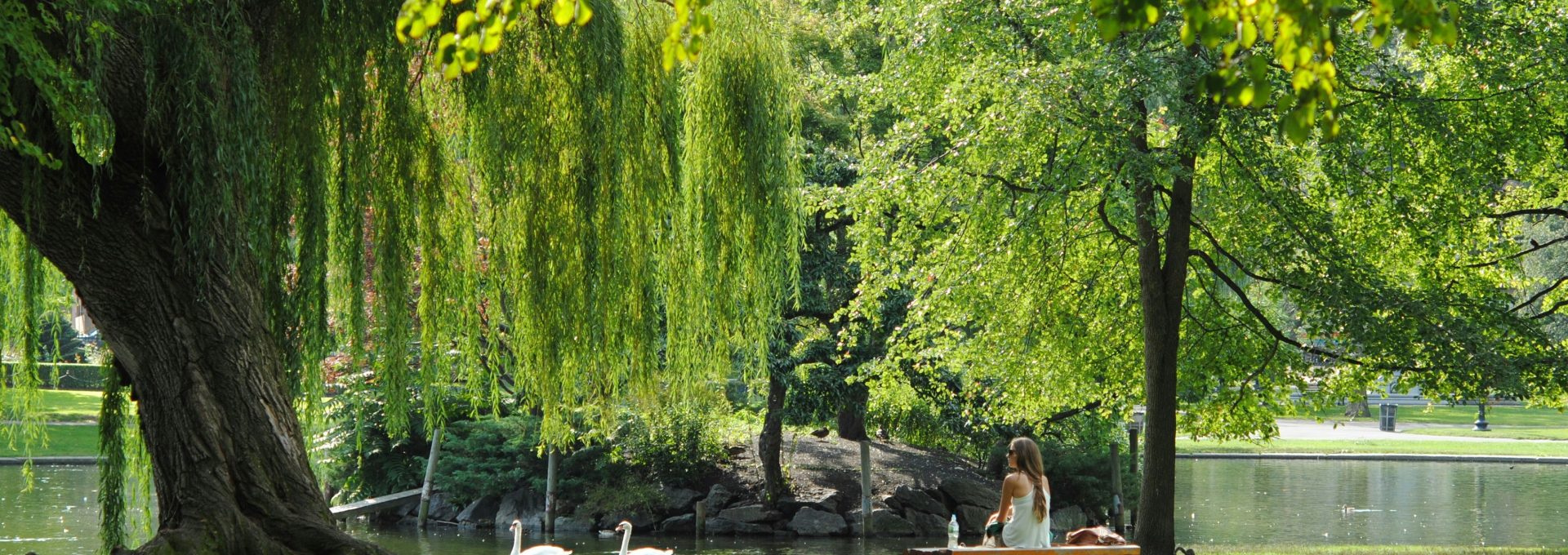 woman sitting on bench