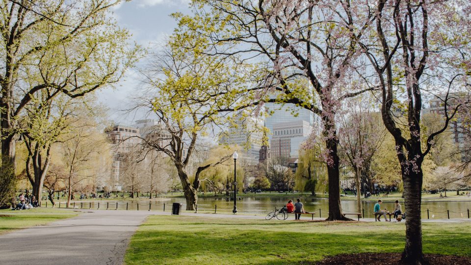 people walking on park during daytime