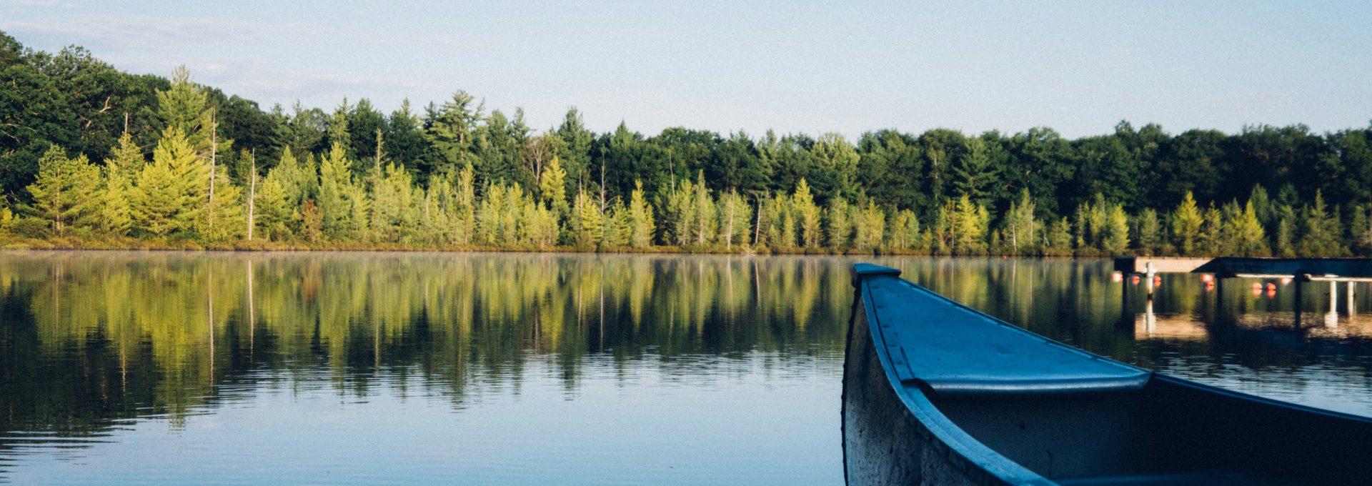 grey canoe on calm body of water near tall trees at daytime