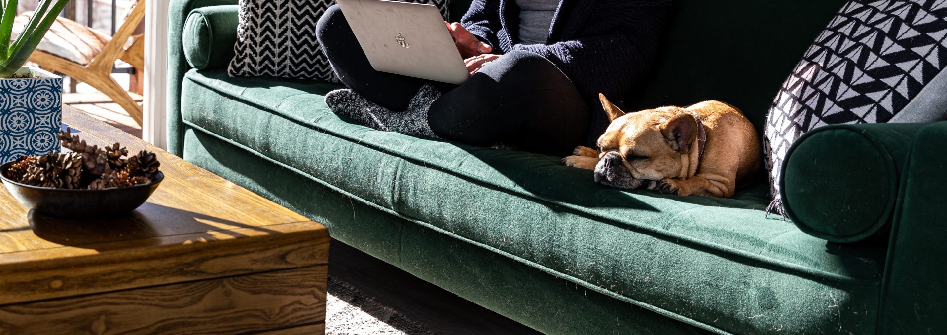 a woman sitting on a couch with a dog on her lap at The Bighorn Crossing