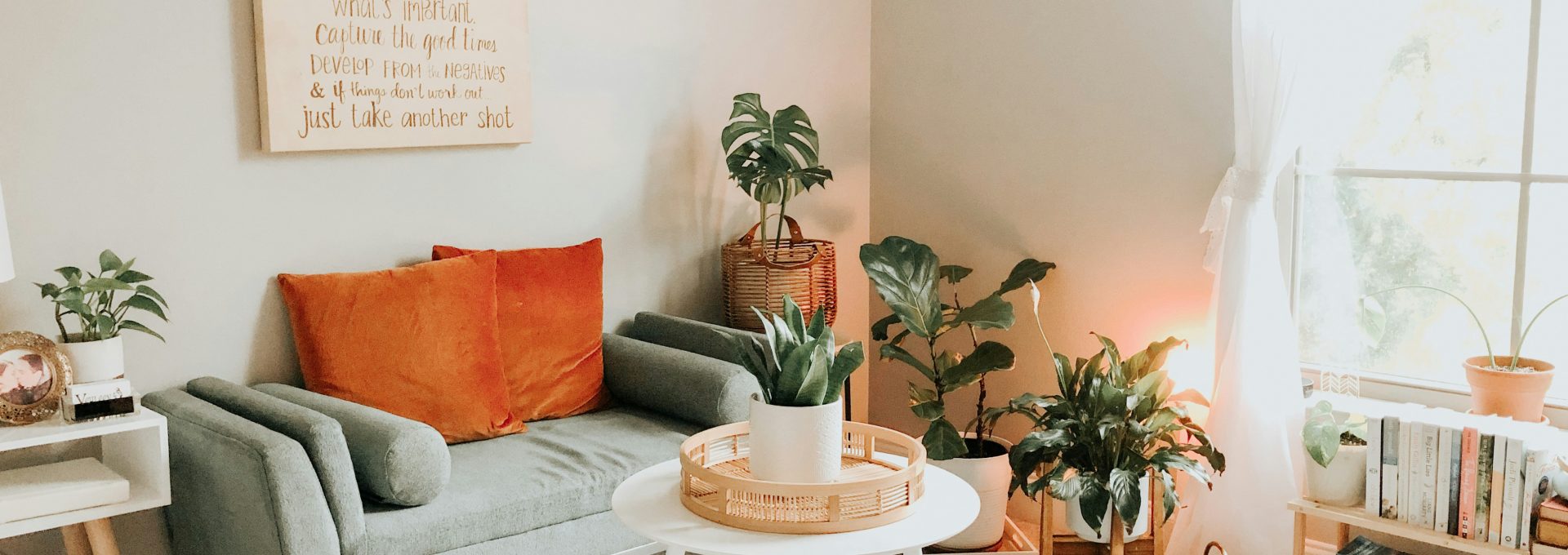green potted plant on white round table