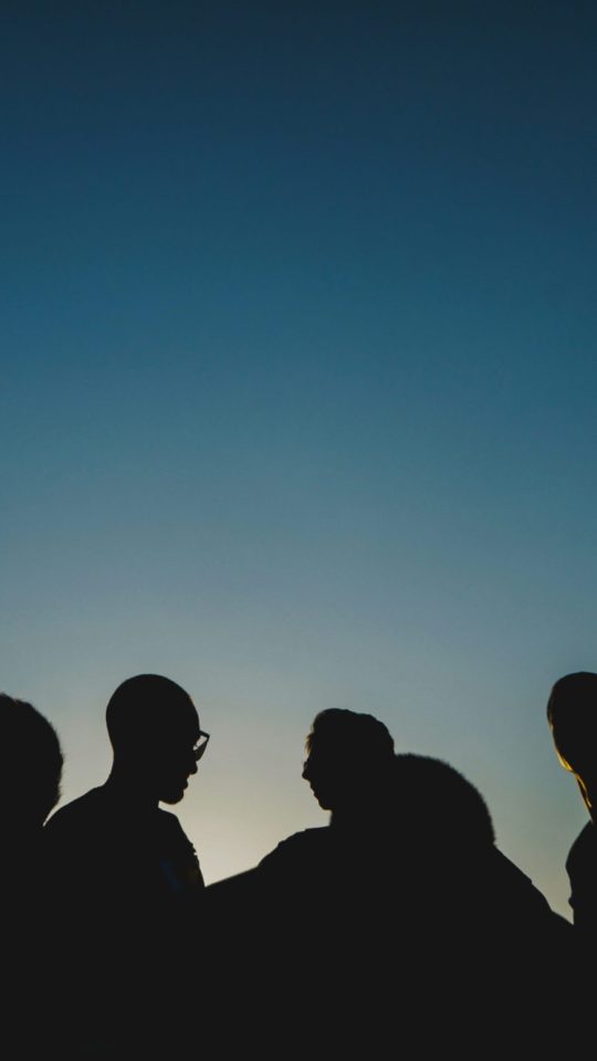 silhouette photo of people