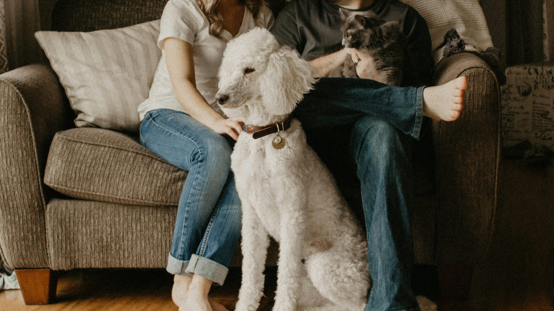 couple sitting on sofa beside dog inside room