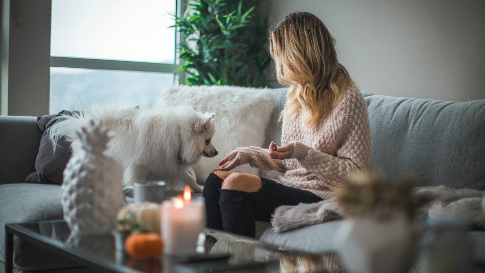 woman sitting on sofa while holding food for dog