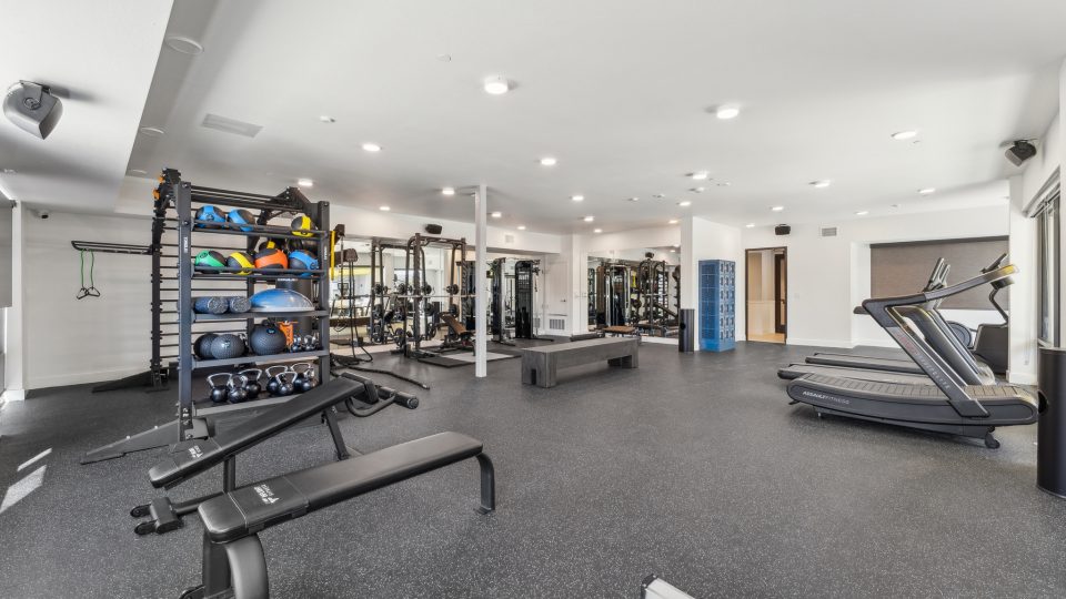 Spacious community gym with ample exercise equipment and treads at Blue Eastline