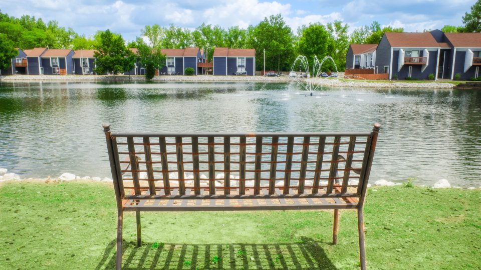bench in front of a pond with a lake in the background at The Lakeshore Cove