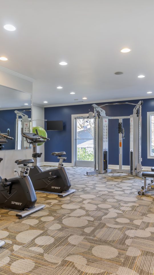 a gym room with exercise equipment and blue walls at The  Wynne