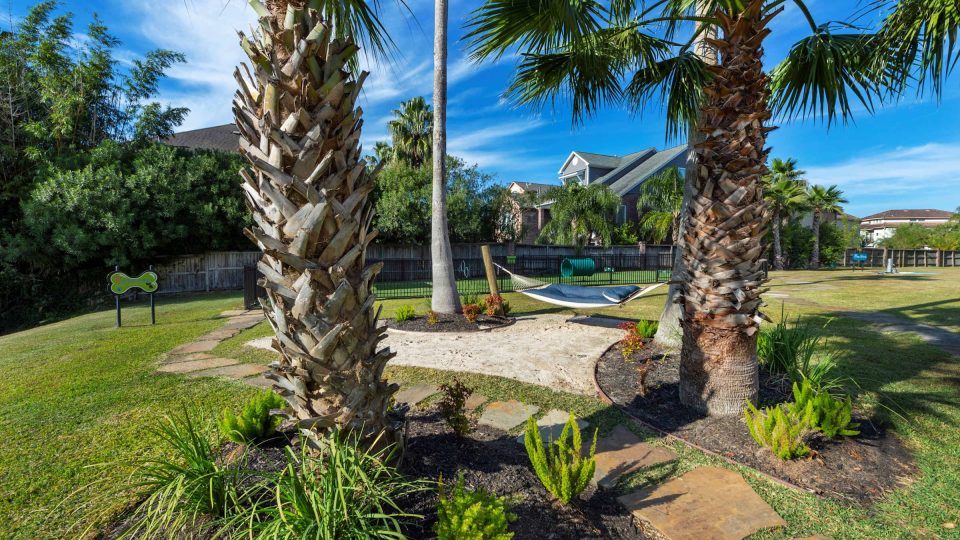 Landscaped courtyard with a hammock and palm trees at Anchor at South Shore in League City, TX