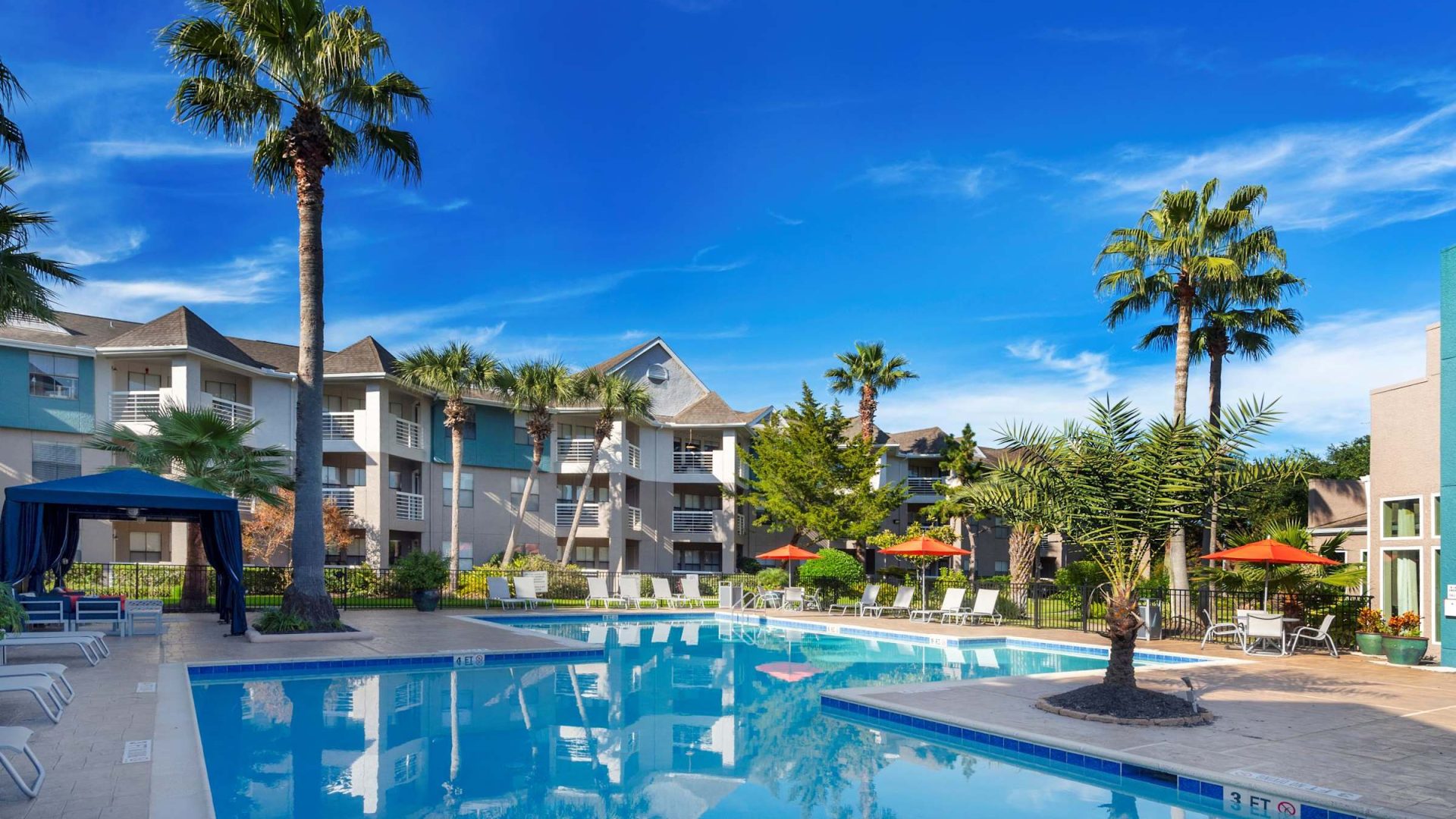 Resort-style swimming pool framed by palm trees and blue sky at Anchor at South Shore in League City, TX