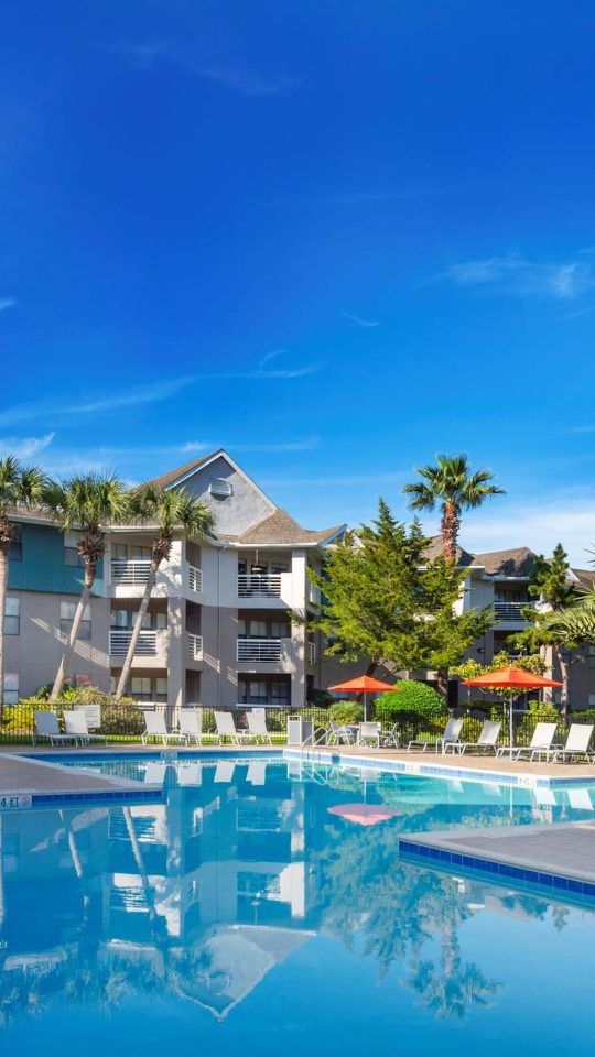 Resort-style swimming pool framed by palm trees and blue sky at Anchor at South Shore in League City, TX