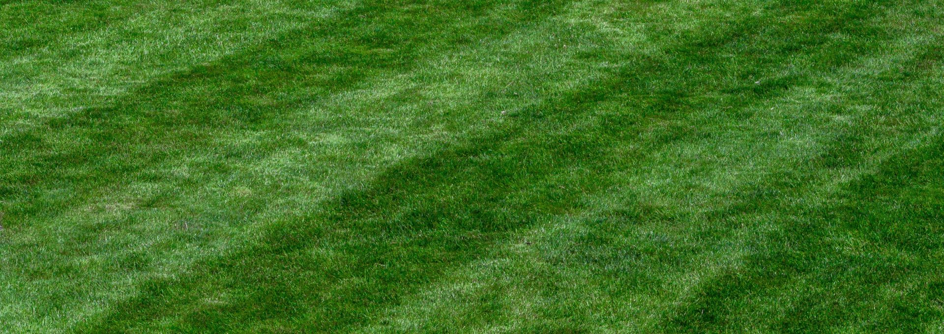 a baseball player standing on top of a lush green field