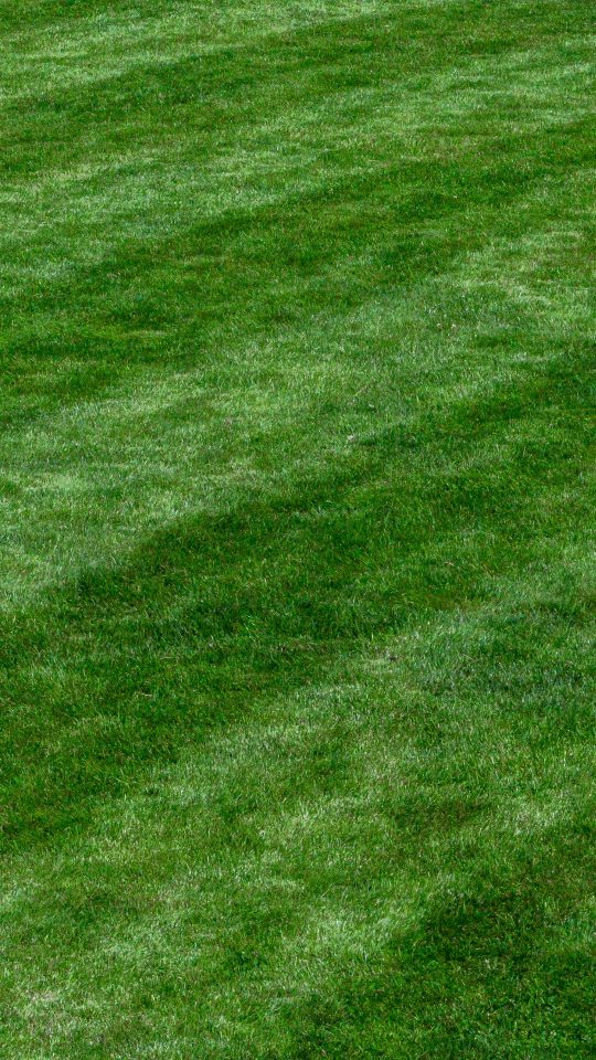 a baseball player standing on top of a lush green field