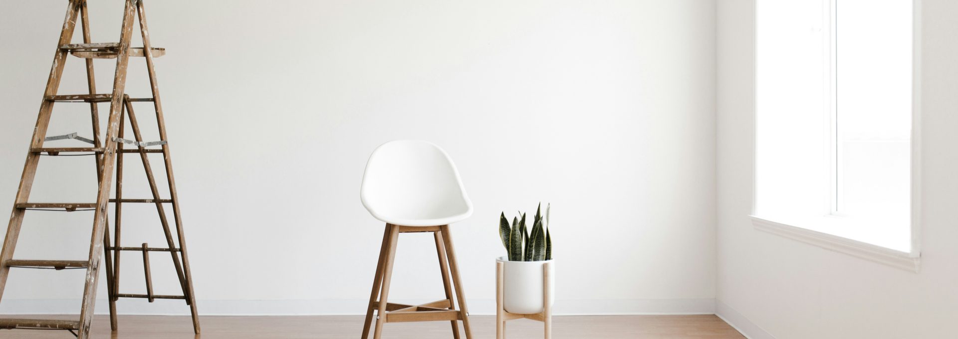 A wooden ladder, a white bar stool, and a snake plant in a room