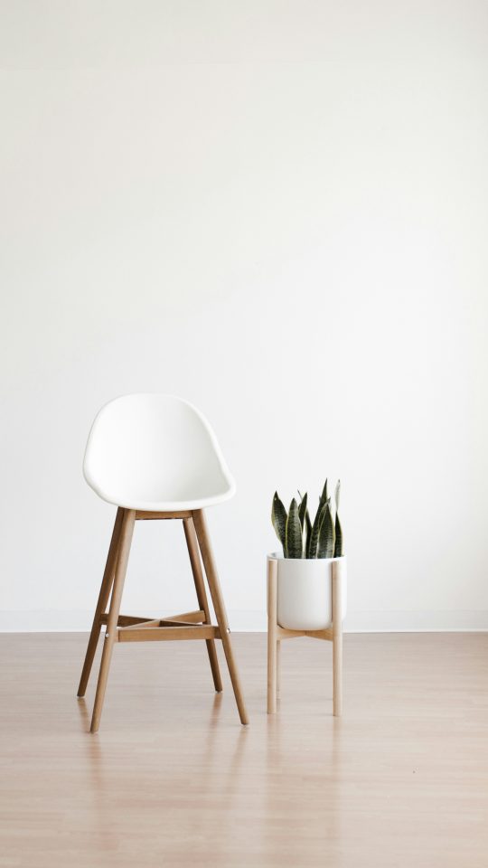 A wooden ladder, a white bar stool, and a snake plant in a room