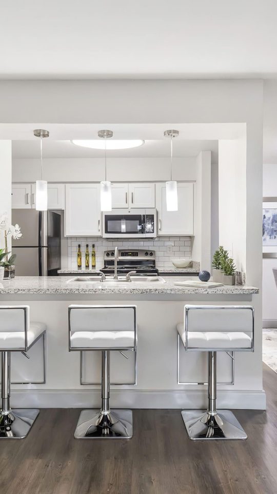 a clean and modern kitchen with white cabinets and hardwood floors at The  Adelene
