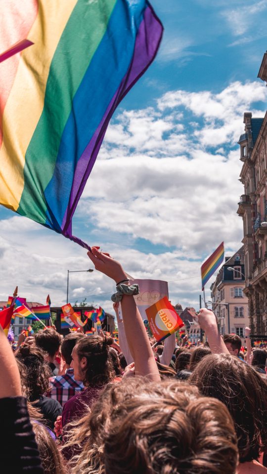a crowd of people holding up rainbow flags at The Flamingo