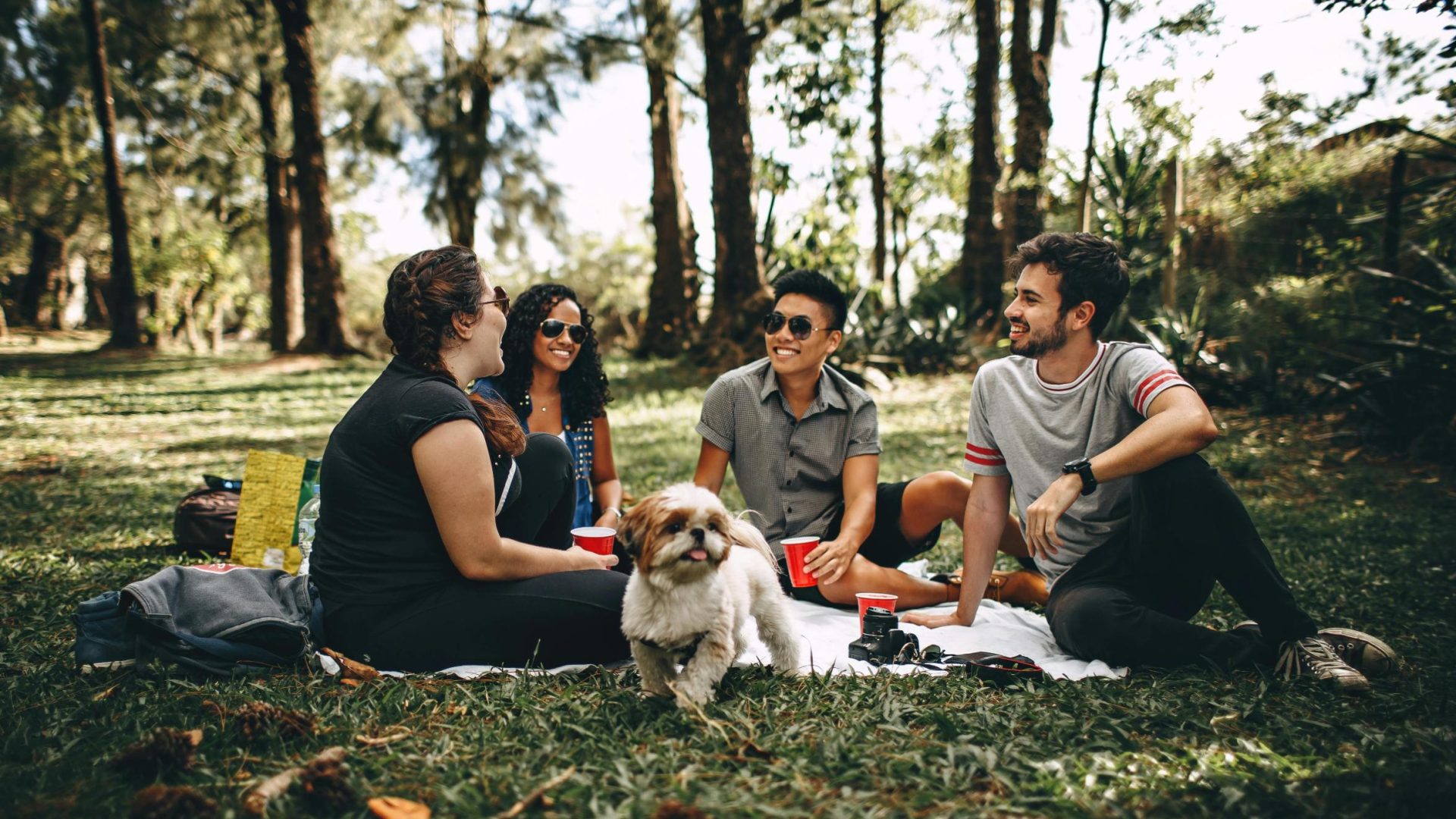 people sitting on a grassy area with a dog
