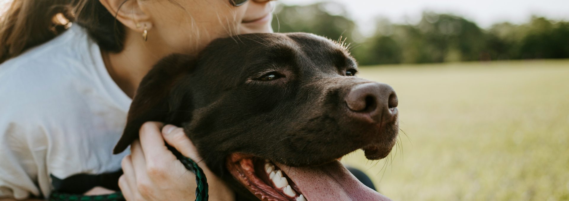 Lifestyle photo of a woman hugging a dog