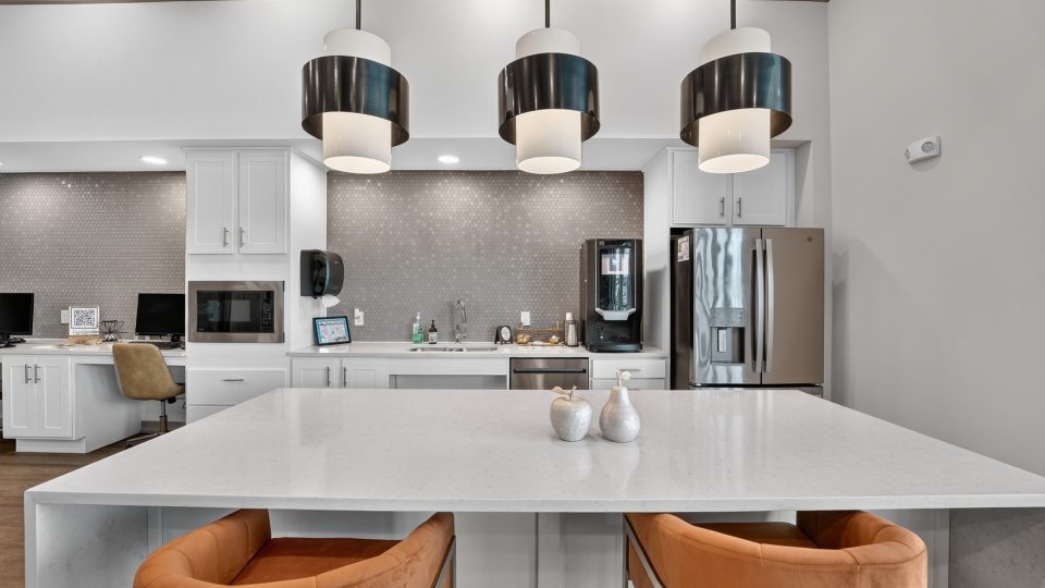 Union Chapel Rd Kitchen: white cabinets, stainless appliances, large quartz island with seating, and a workstation.