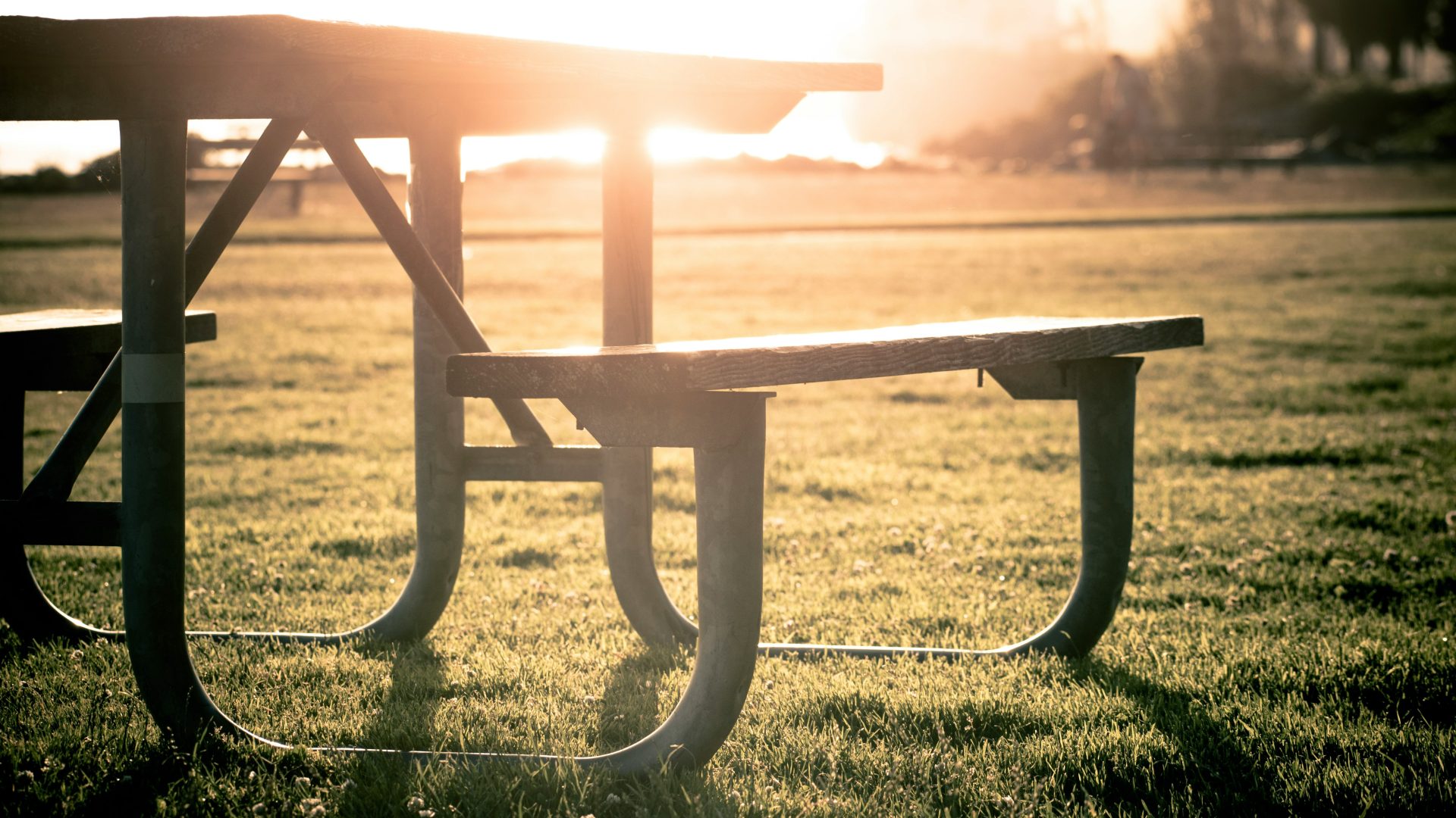 grey picnic table on grass field during sunset