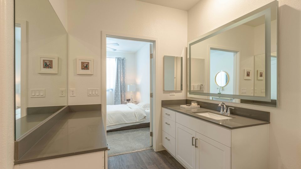 a bathroom with a sink and a mirror