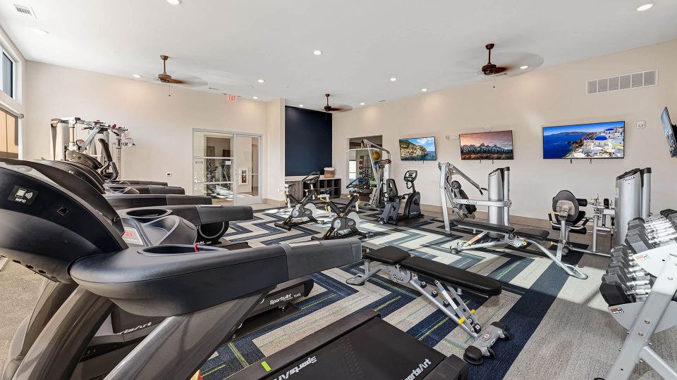Gym euipments