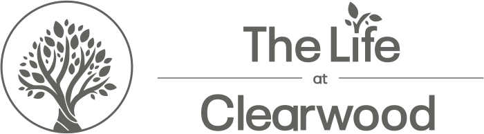 a collage of photographs of a plant