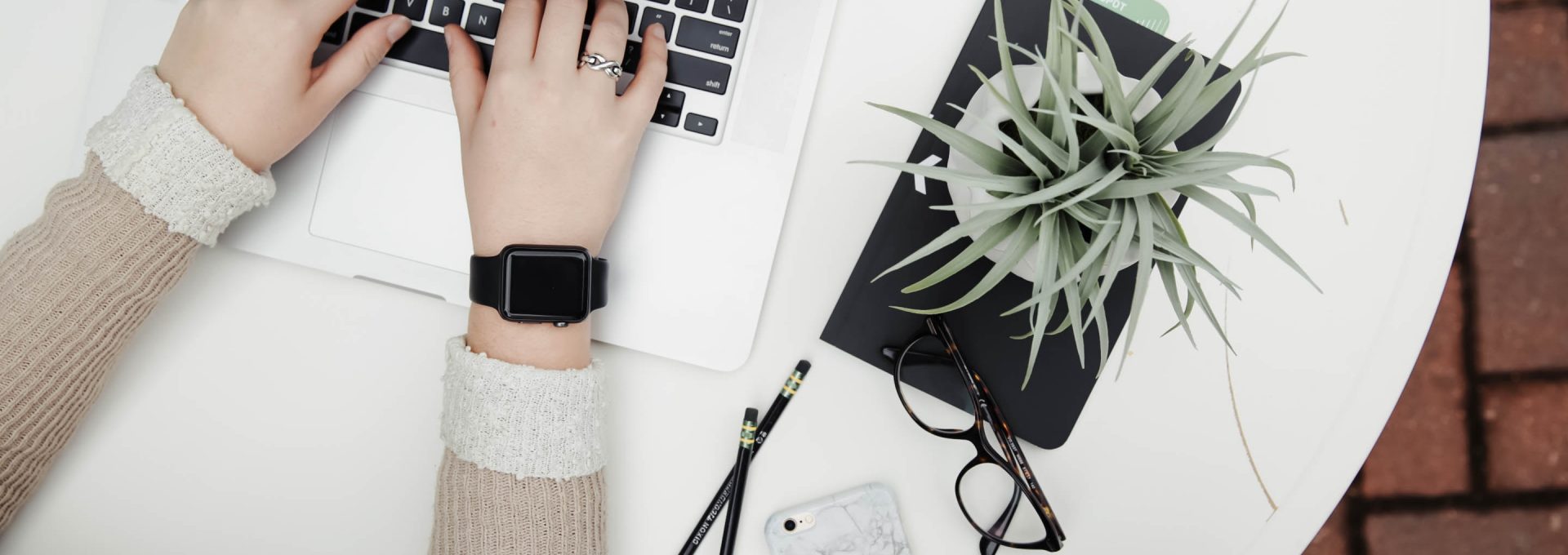 person using laptop computer beside aloe vera