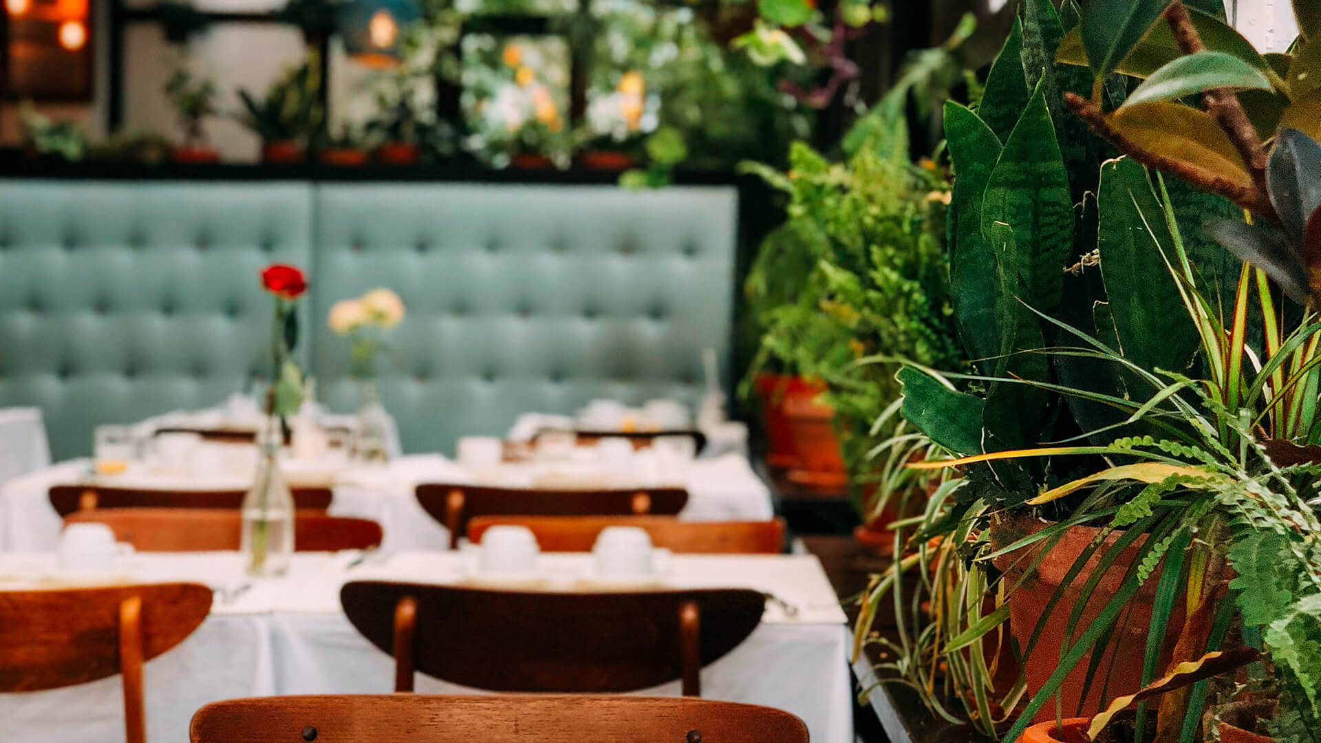 table with food