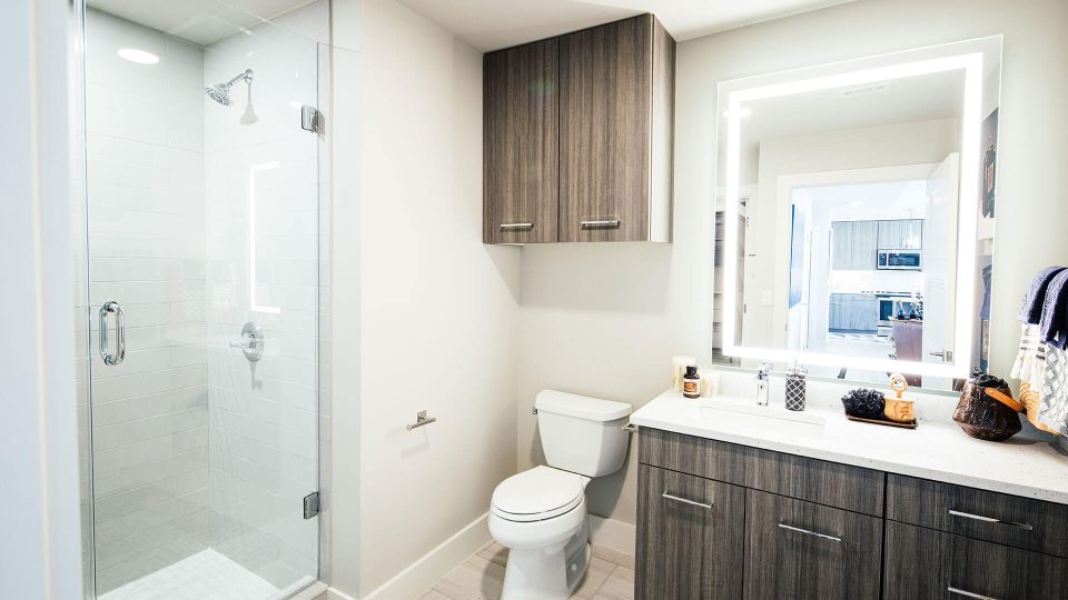 a bathroom with a shower, toilet and sink at The First