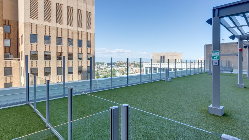 a grassy area with a fence and a building in the background at The First
