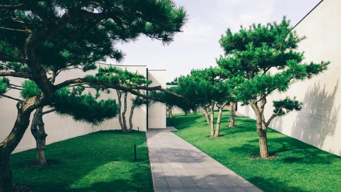 Landscaped walkway between residential buildings