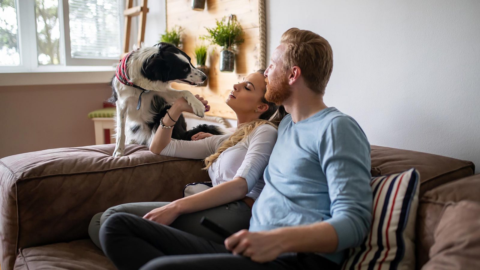 a man and woman sitting on a couch with a dog at The Cedars Apartments