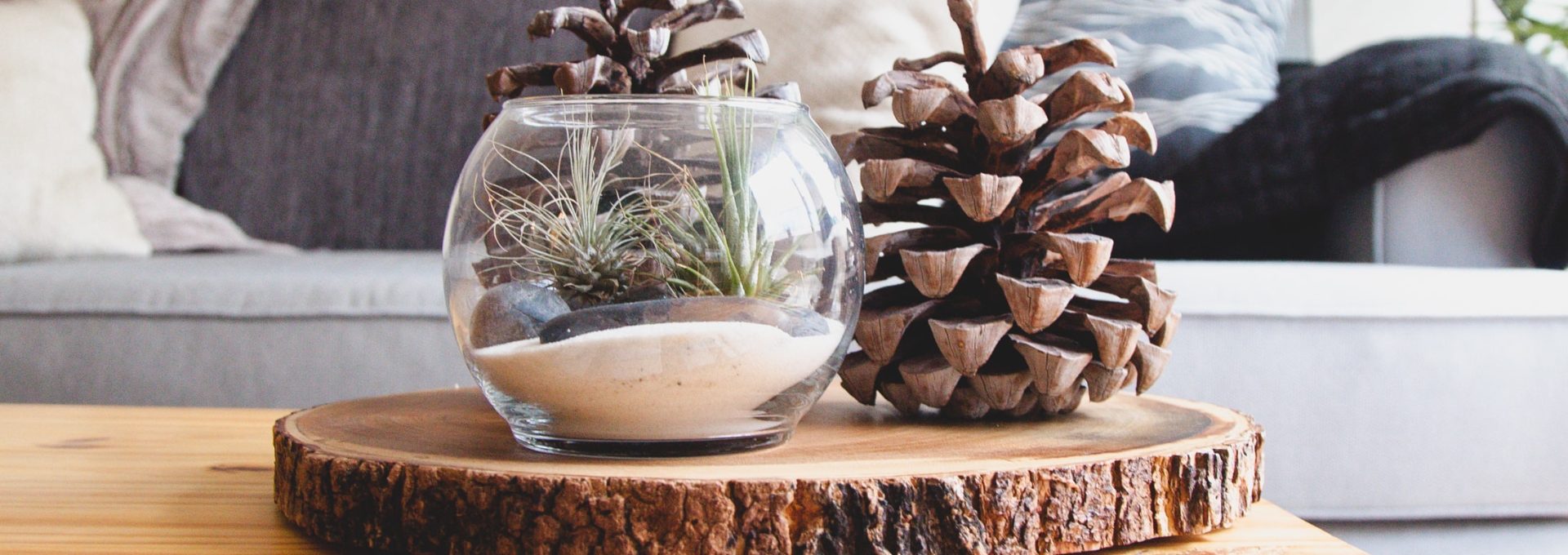 a coffee table with pine cones on it at The Breezeway Townhomes