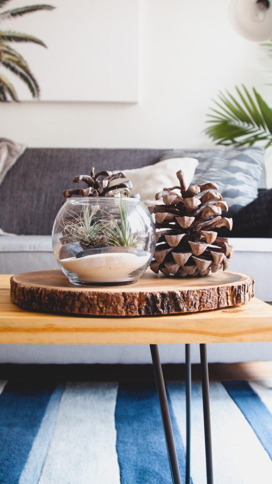 a coffee table with pine cones on it at The Breezeway Townhomes