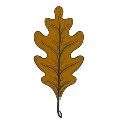 Blanco-Oaks-Oak-Leaf-Color-Bug