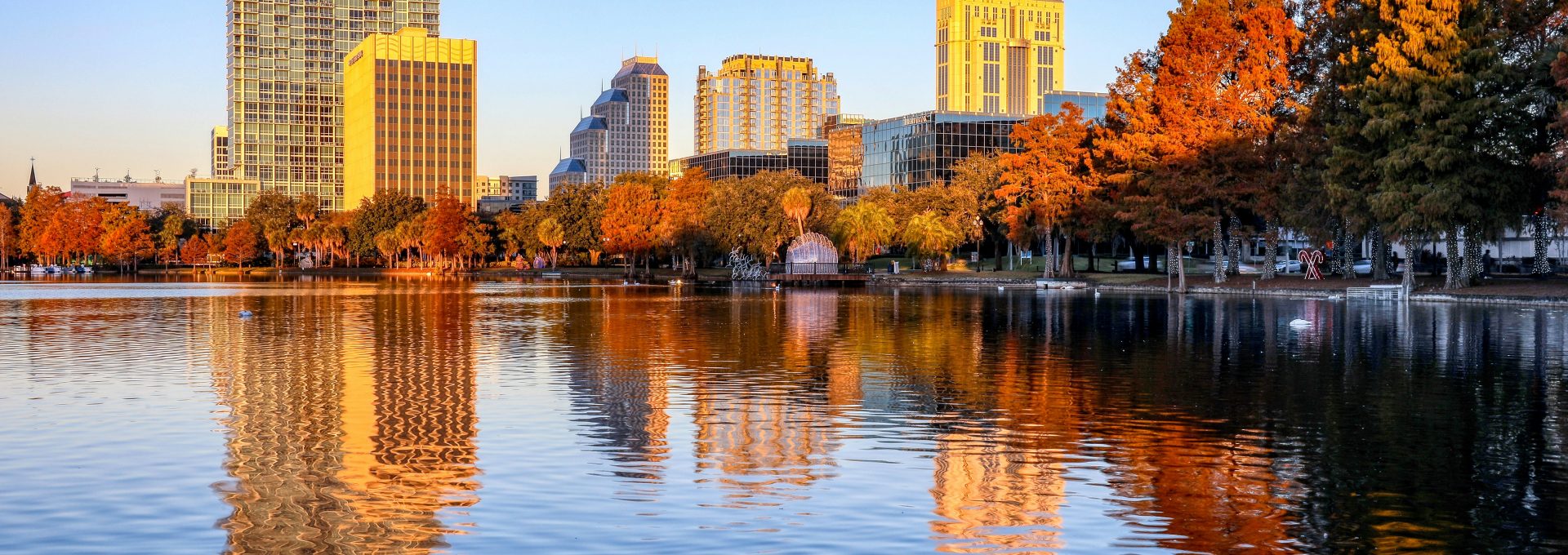 green trees near body of water during daytime