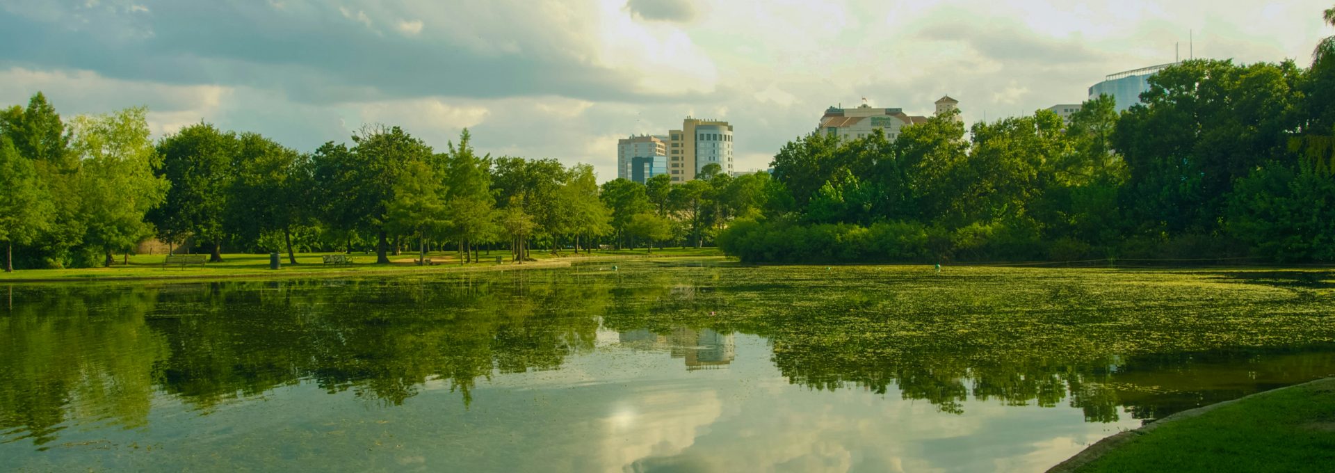 green trees near river under white clouds during daytime
