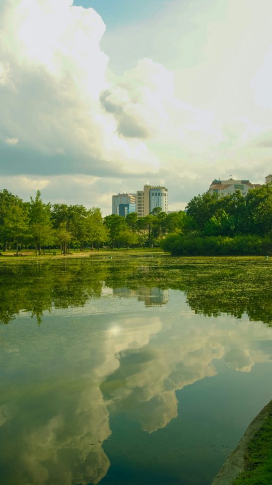 green trees near river under white clouds during daytime