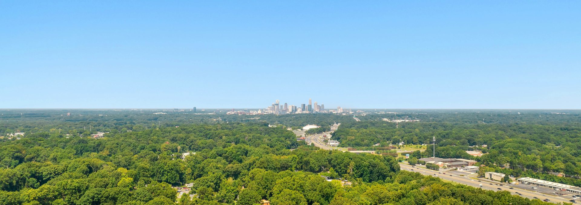green trees and city buildings under blue sky during daytime