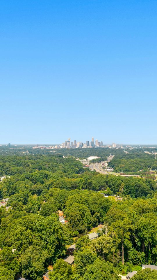 green trees and city buildings under blue sky during daytime