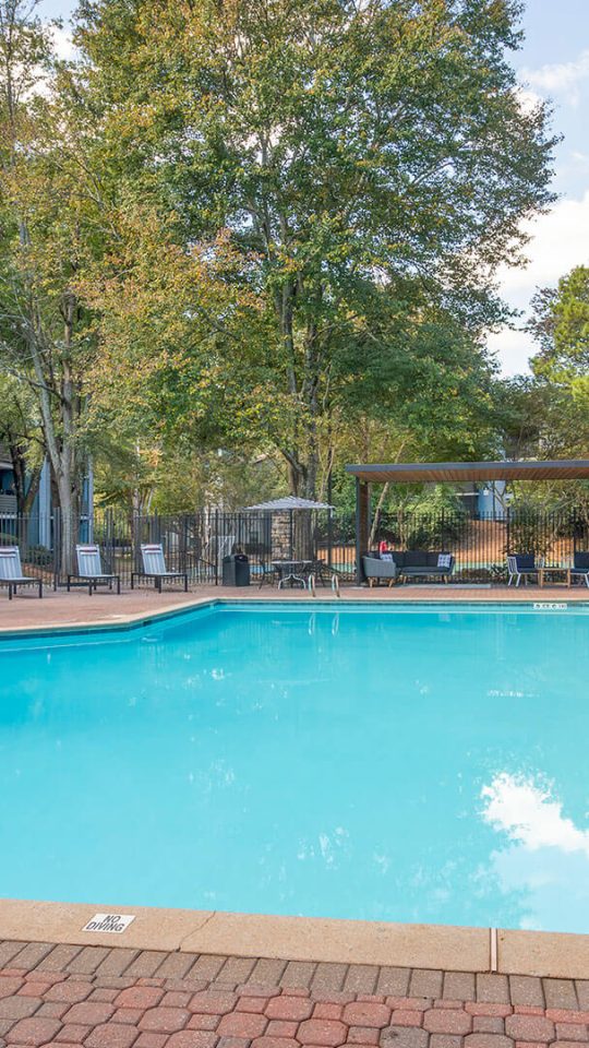 the pool at The  Jaxon